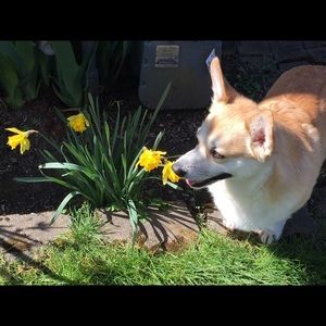 Meet your Posher, Karyn